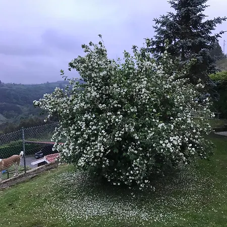 בית נופש La Atalaya גיחון
